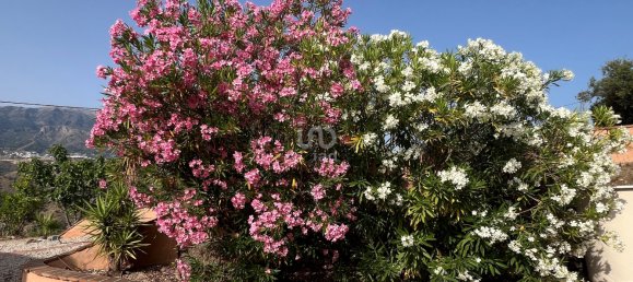 3 Schlafzimmer Haus in Canillas de Aceituno, Spain, Nr. 186792 8