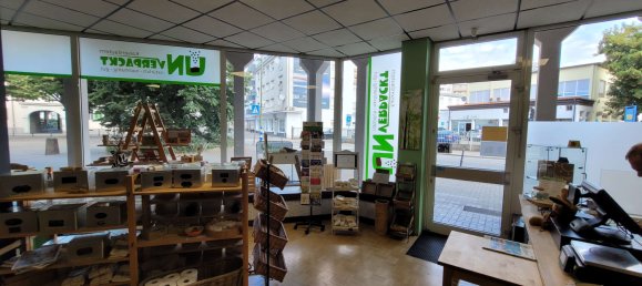 90m² Commercial property in Kaiserslautern, Germany No. 365078 9