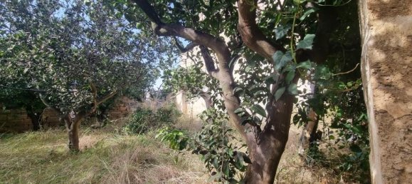 Дом с 15 комнатами в Monteroni di Lecce, Италия № 224839 20