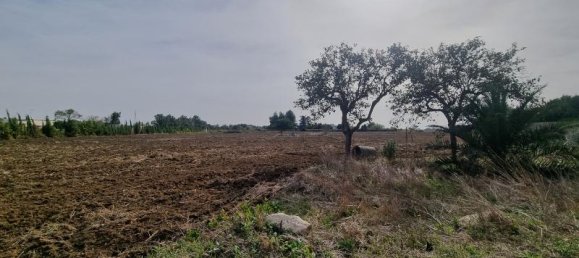 Дом с 15 комнатами в Monteroni di Lecce, Италия № 224839 17