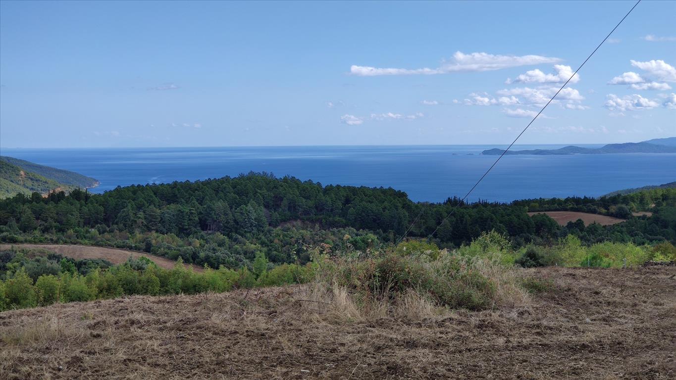 17000m² Hotel in Chalkidiki, Greece No. 4058