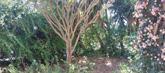 Casa T5 em Toulon, France N.º 290576 13