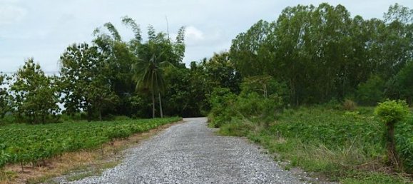  Commercial property in Pattaya, Thailand No. 3435 7