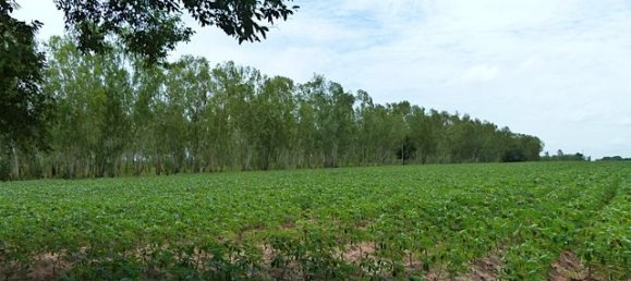  Commercial property in Pattaya, Thailand No. 3435 6