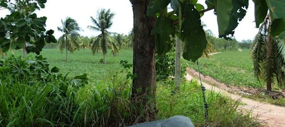  Commercial property in Pattaya, Thailand No. 3435 9