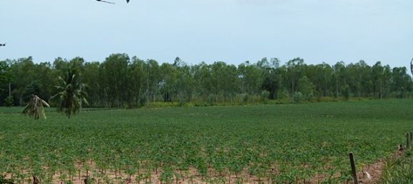  Commercial property in Pattaya, Thailand No. 3435 10