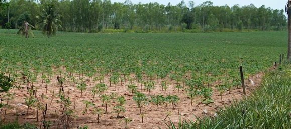  Commercial property in Pattaya, Thailand No. 3435 2