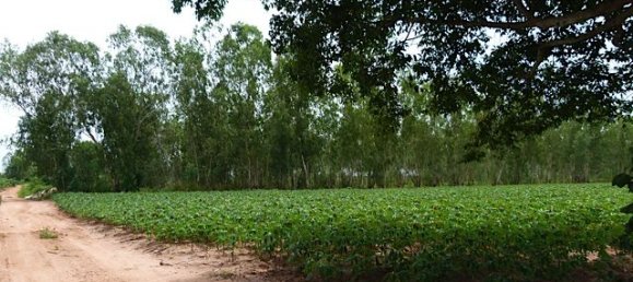  Commercial property in Pattaya, Thailand No. 3435 4