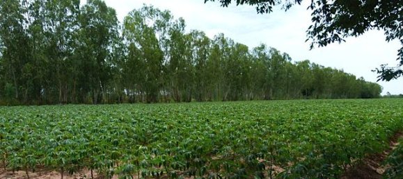  Commercial property in Pattaya, Thailand No. 3435 5