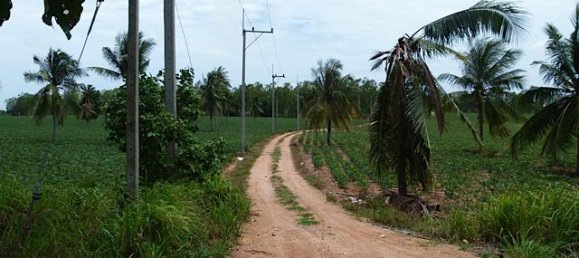  Commercial property in Pattaya, Thailand No. 3435 8