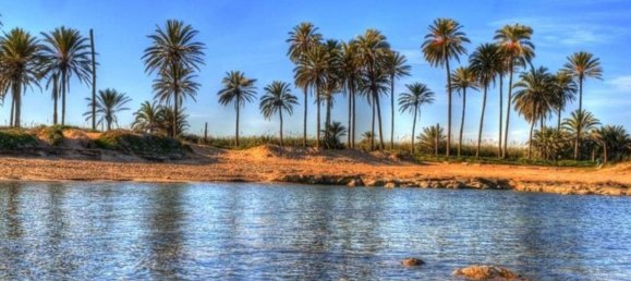 2 bedrooms Apartment in Torrevieja, Spain No. 287275 12