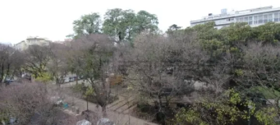 1 bedroom Apartment in Lisbon, Portugal No. 151967 19