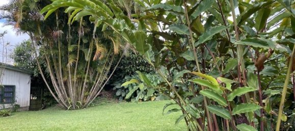 Terrain à Vazquez de Coronado, Costa Rica No. 1856 3