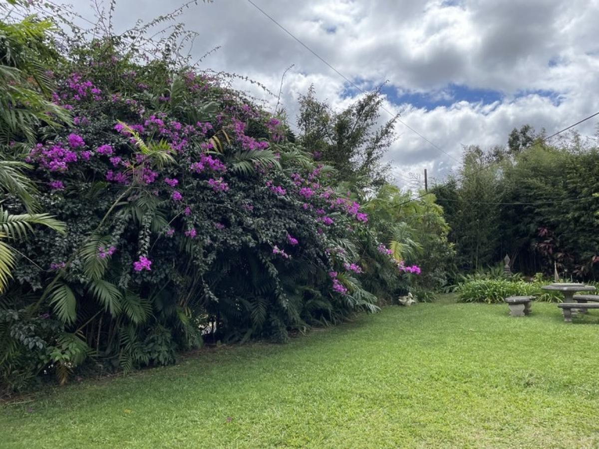 Terrain à Vazquez de Coronado, Costa Rica No. 1856