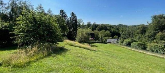 Land in Liebenau, Austria No. 104043 10