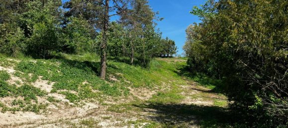 Дом с 3 комнатами в Ангерн ан дер Марх, Австрия № 235584 17