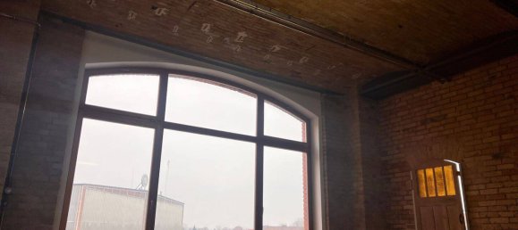 Imóvel comercial em Wilhelmsruh, Germany 375 m² N.º 44200 13