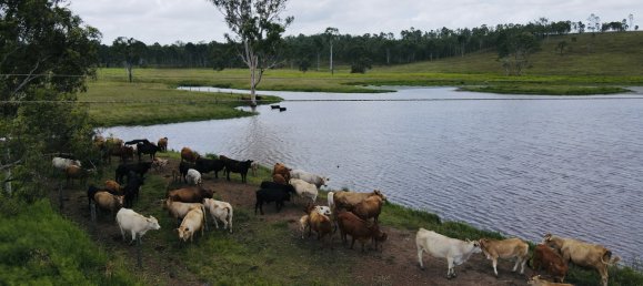 3 bedrooms House in Windera, Australia No. 881 5