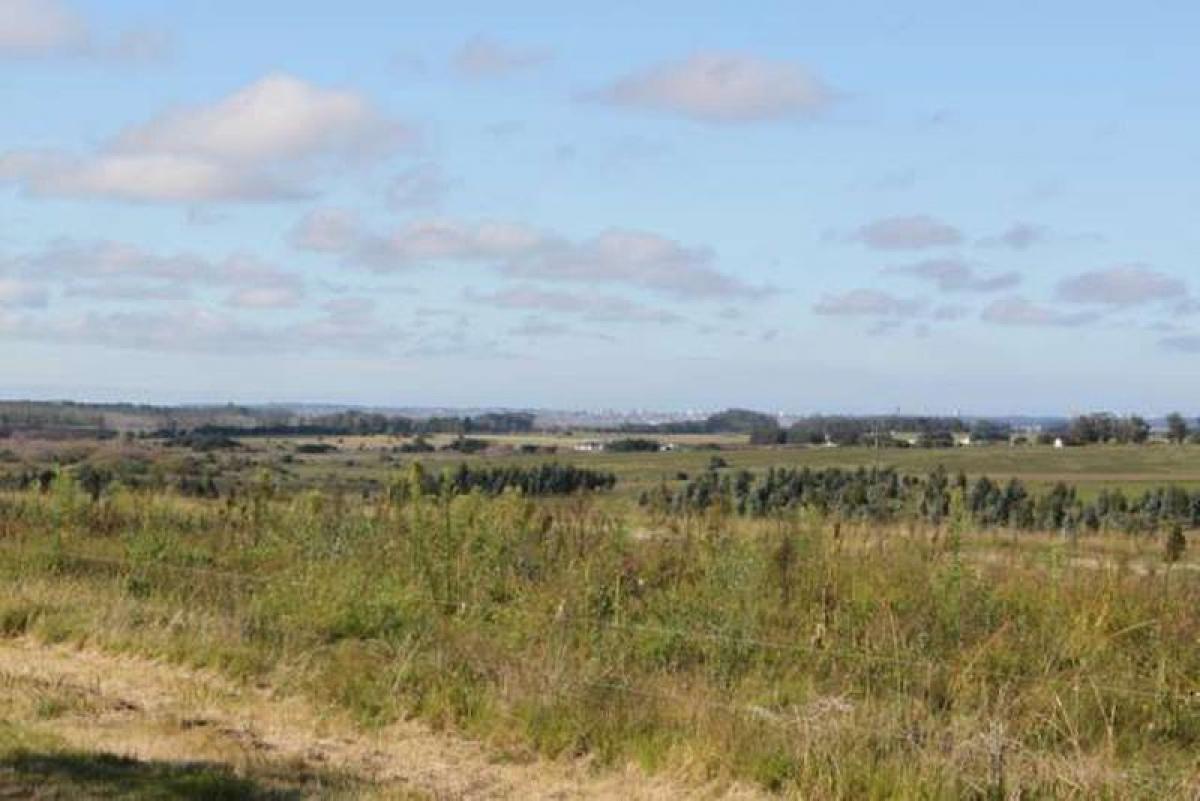 Bauernhof in Maldonado, Uruguay, Nr. 16068