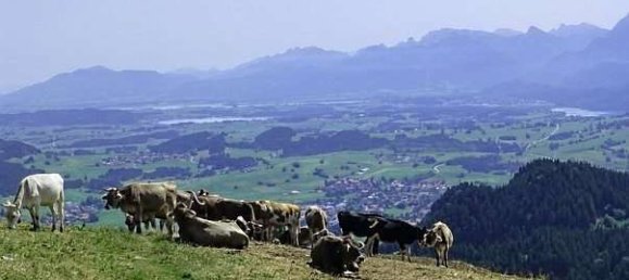 Hotel in Ostallgäu, Germany 600m², Nr. 266906 2