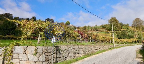  قطعة أرض في Baiao, Portugal 3800متر مربع رقم 42507 7