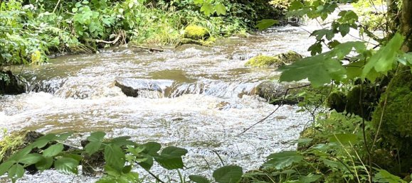 10-salle Maison de ville à Freudenstadt, Germany No. 240521 14