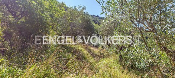 Terreno en Rocca di Cave, Italy No. 301807 7