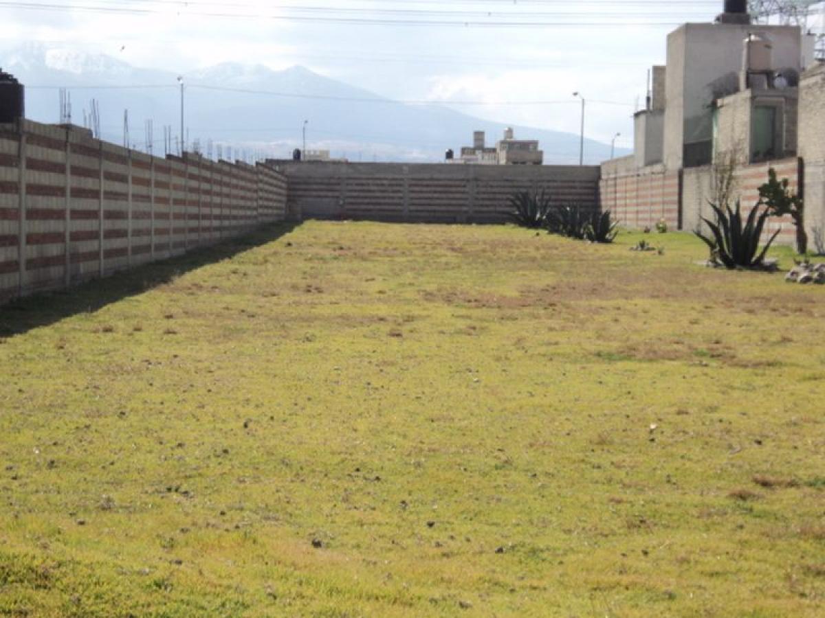  Land in Zinacantepec, Mexico No. 204013