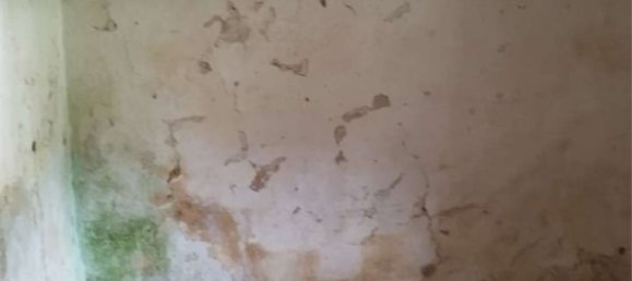 10 rooms House in Cisternino, Italy No. 42313 16