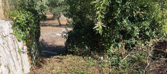 10 rooms House in Cisternino, Italy No. 42313 29