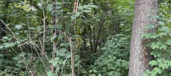 3غرفة منزل في Markisch-Oderland, Germany رقم 269796 6