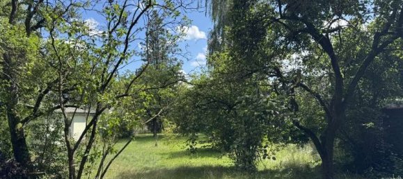 3غرفة منزل في Markisch-Oderland, Germany رقم 269796 5