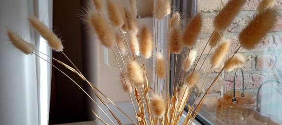 6-salle Maison de ville à Monchengladbach, Germany No. 32291 7