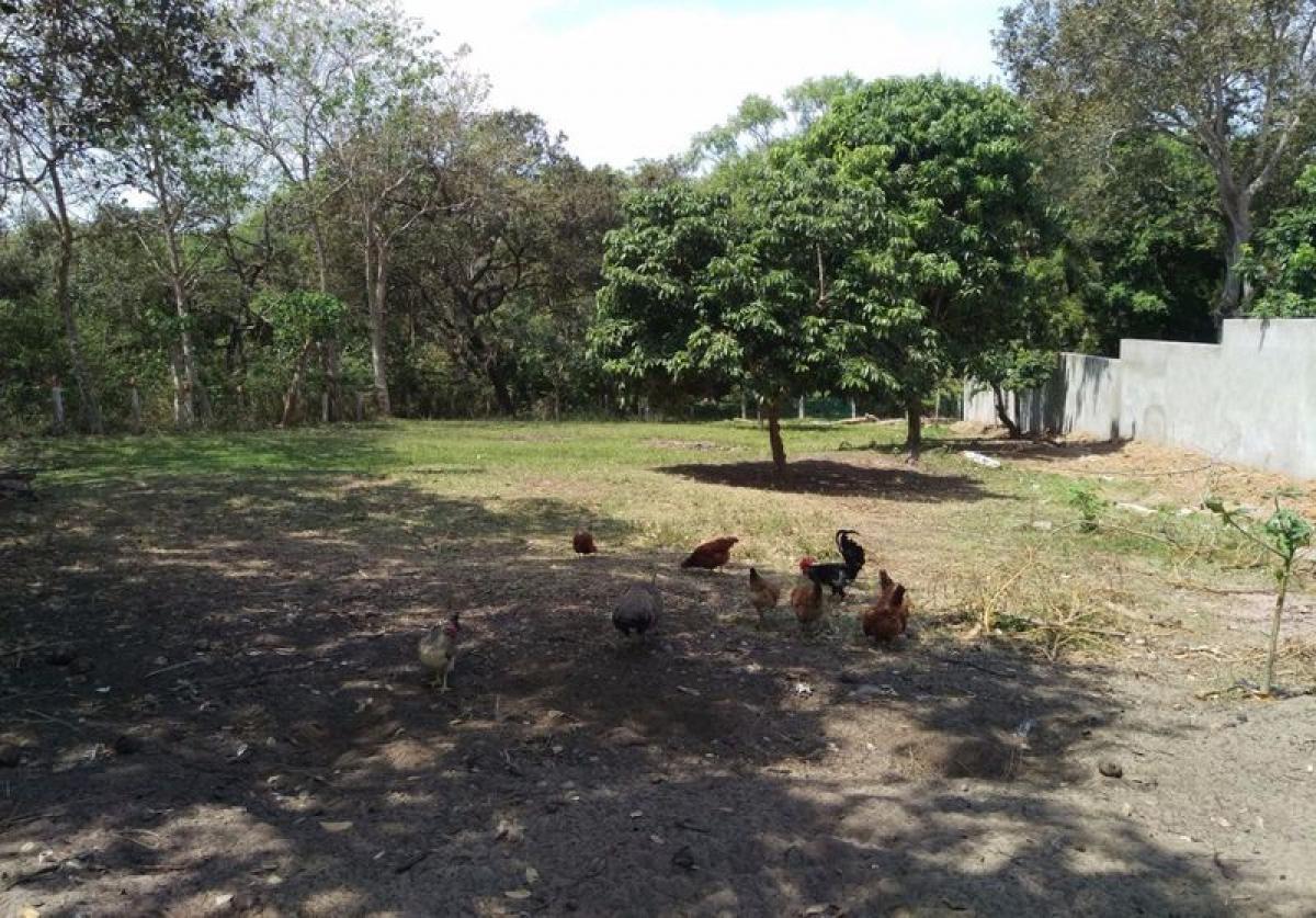 Terreno em Veracruz, Mexico N.º 204316