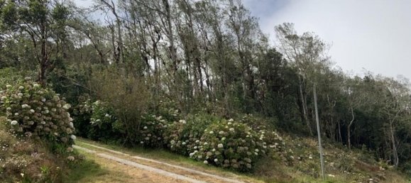 2 غرف نوم منزل في El Guarco , Costa Rica رقم 965 2