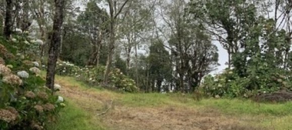 2 غرف نوم منزل في El Guarco , Costa Rica رقم 965 5