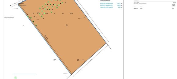  Land in Sencelles, Spain No. 155634 16