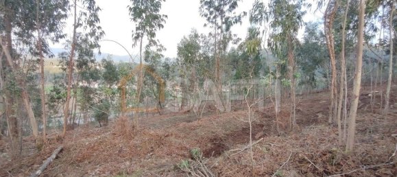 Terrain à Vila Nova de Cerveira, Portugal 4500m² No. 54296 13