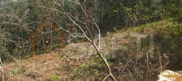 Terrain à Vila Nova de Cerveira, Portugal 4500m² No. 54296 4