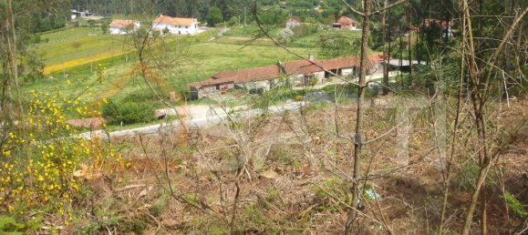 Terrain à Vila Nova de Cerveira, Portugal 4500m² No. 54296 6