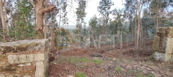 Terrain à Vila Nova de Cerveira, Portugal 4500m² No. 54296 9