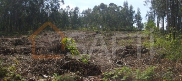 Terrain à Vila Nova de Cerveira, Portugal 4500m² No. 54296 3