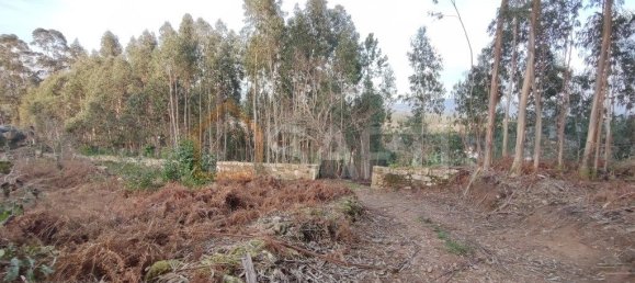 Terrain à Vila Nova de Cerveira, Portugal 4500m² No. 54296 10