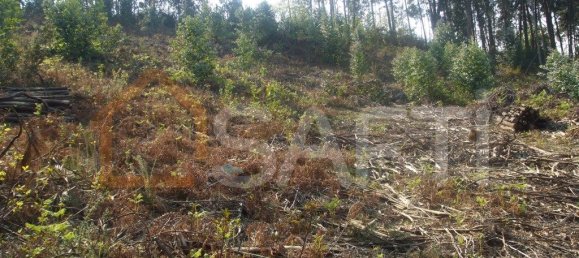 Terrain à Vila Nova de Cerveira, Portugal 4500m² No. 54296 5