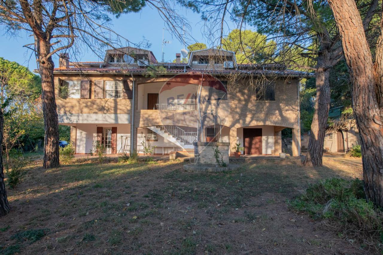 24 rooms Villa in Falconara Marittima, Italy No. 2256