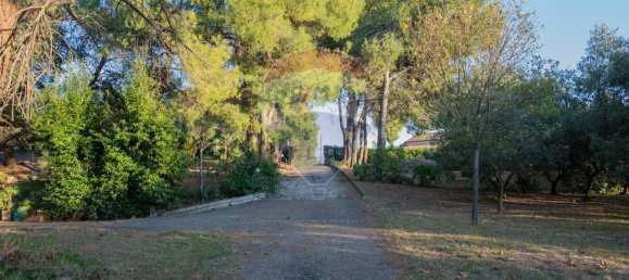 24 rooms Villa in Falconara Marittima, Italy No. 2256 2