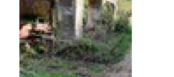  قطعة أرض في Macerata Feltria, Italy 312882متر مربع رقم 261498 6