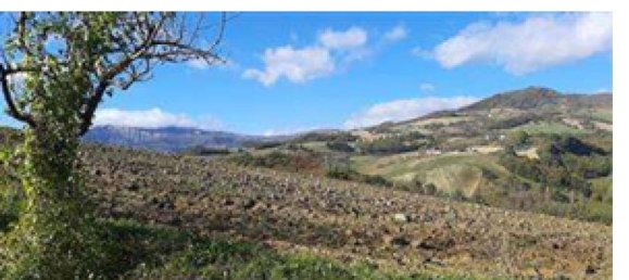  قطعة أرض في Macerata Feltria, Italy 312882متر مربع رقم 261498 4