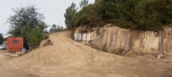 Grundstück in Marco de Canaveses, Portugal 22250m², Nr. 59406 4