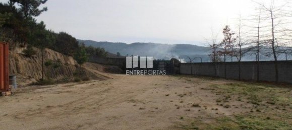 Grundstück in Marco de Canaveses, Portugal 22250m², Nr. 59406 8